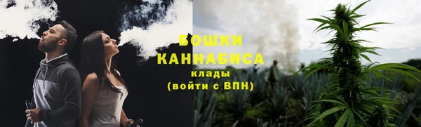 молекула духа Нягань